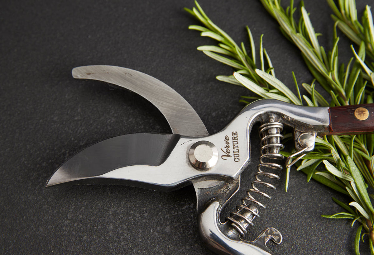 Thai Kitchen and Garden Shears